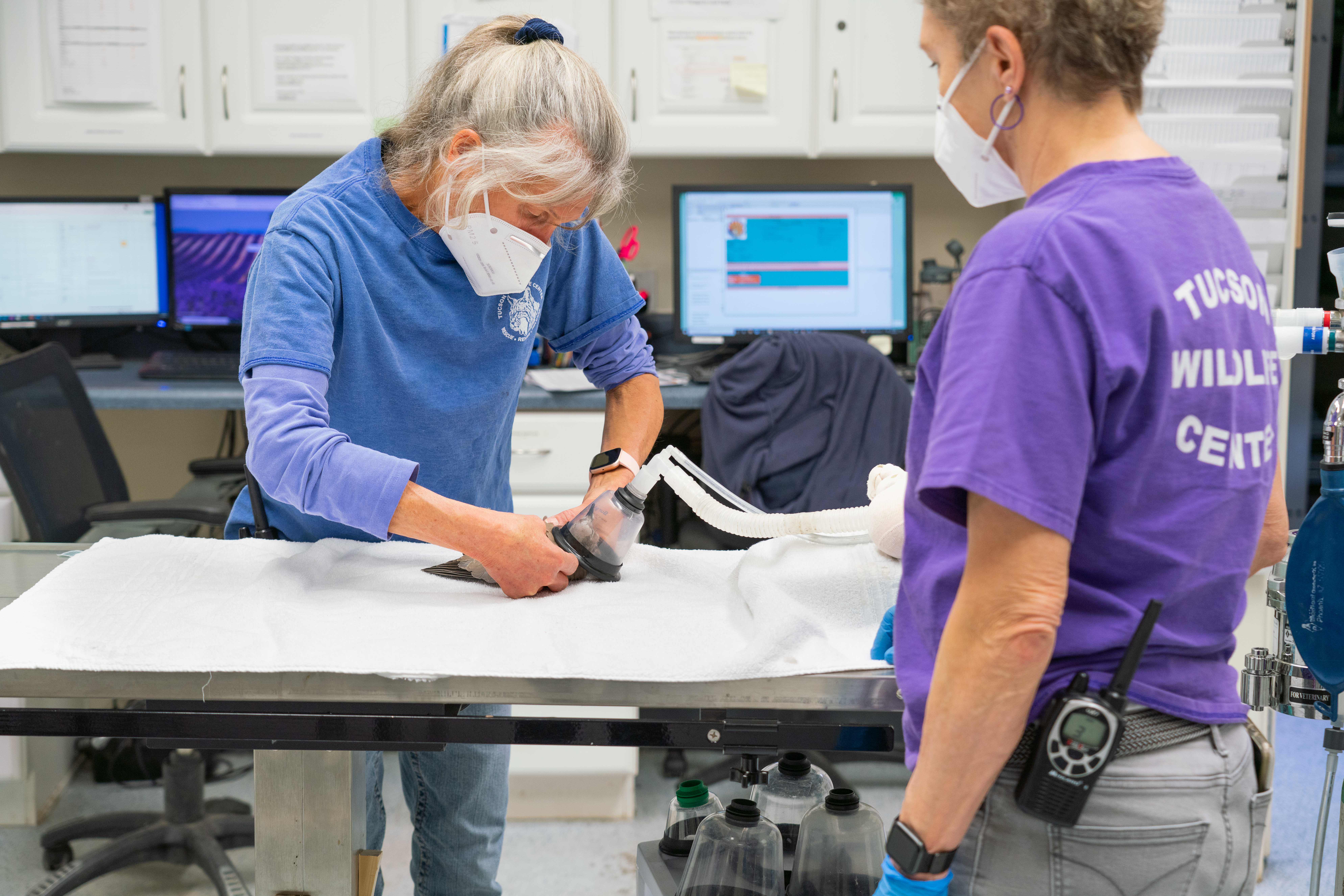 Tucson Wildlife Center