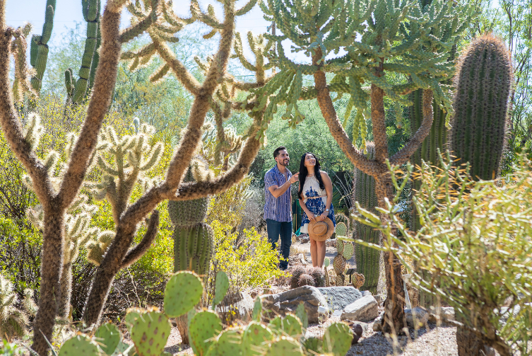 A man and a woman walk through the Tucson Botanical Gardens.